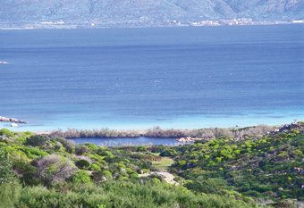 Asinara, Cala S.Andrea (Courtesy of CCIAA Sassari)